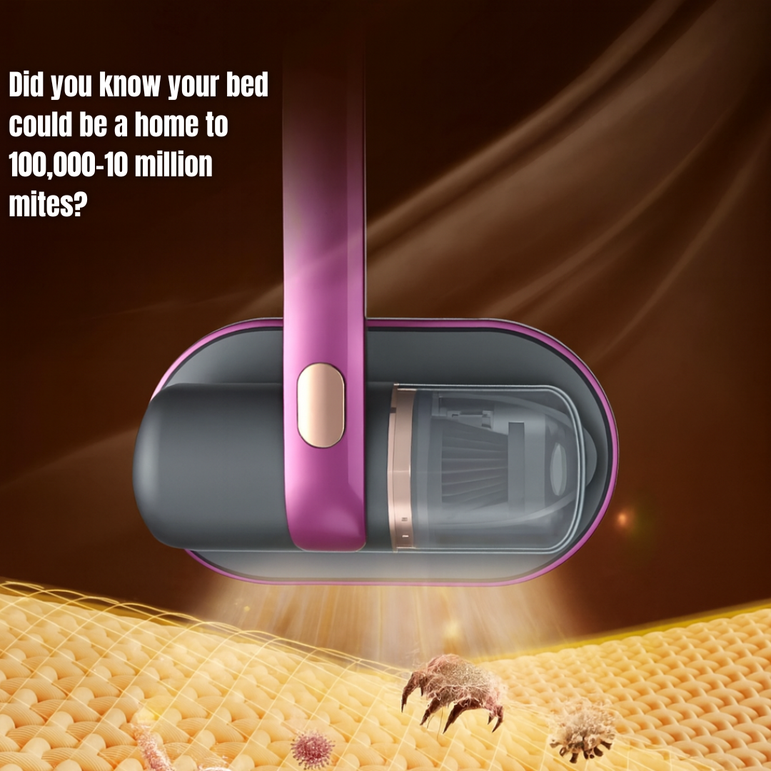 Dust Vacuum & Iron™