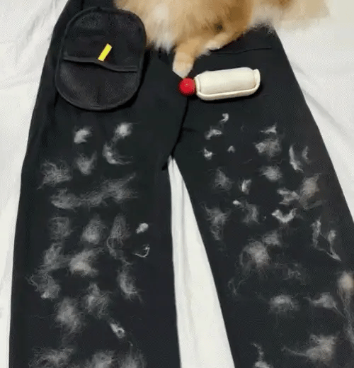 Pet Hair Remover Gloves™