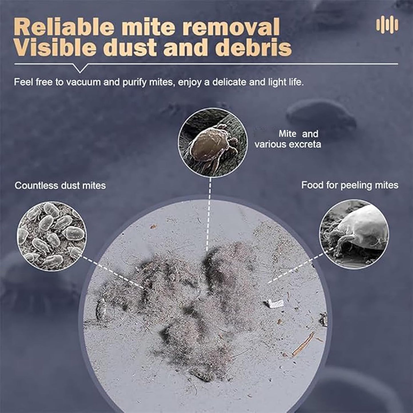 Dust Vacuum & Iron™